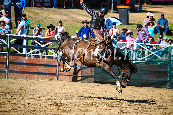 CoomaRodeo2017_2623