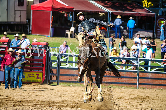 CoomaRodeo2017_2764