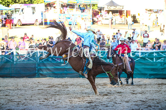 CoomaRodeo2017_3466