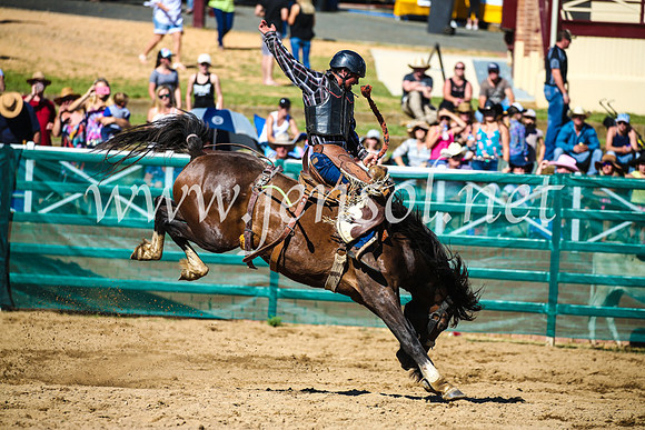 CoomaRodeo2017_2656