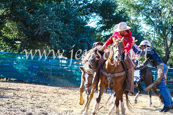CoomaRodeo2017_2789