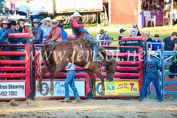 CoomaRodeo2017_5053