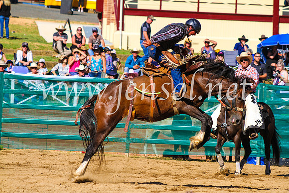 CoomaRodeo2017_9077