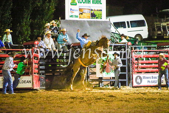 CoomaRodeo2017_4383