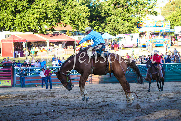 CoomaRodeo2017_3513