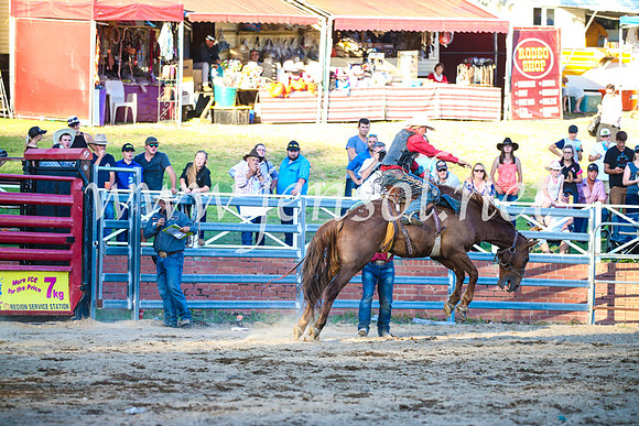 CoomaRodeo2017_3415