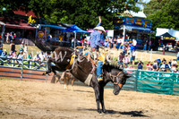 CoomaRodeo2017_2178