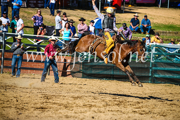 CoomaRodeo2017_2720