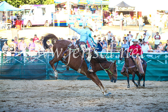 CoomaRodeo2017_3465