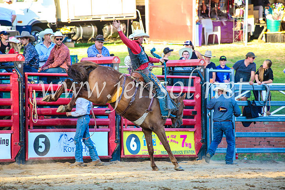 CoomaRodeo2017_5052
