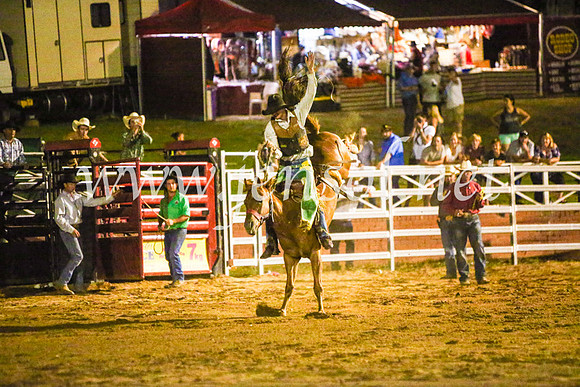 CoomaRodeo2017_4284