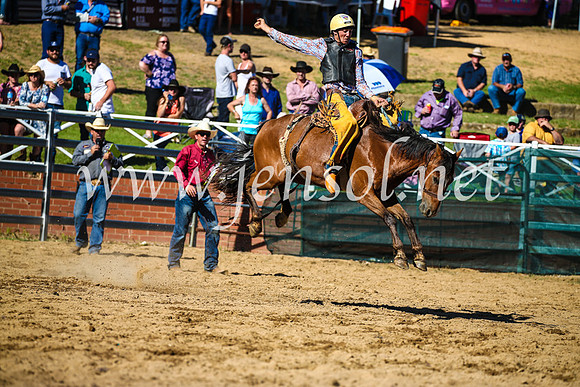 CoomaRodeo2017_2719