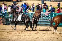 CoomaRodeo2017_2086