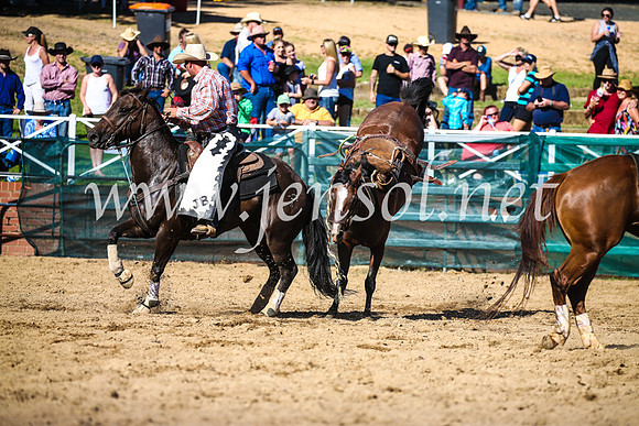 CoomaRodeo2017_2086