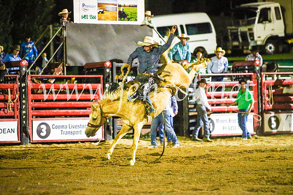 CoomaRodeo2017_4262