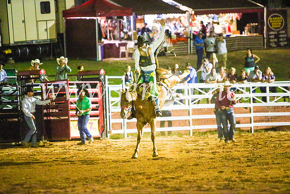 CoomaRodeo2017_4287