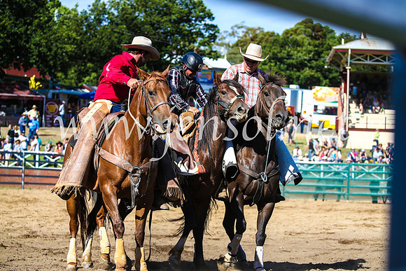 CoomaRodeo2017_2668