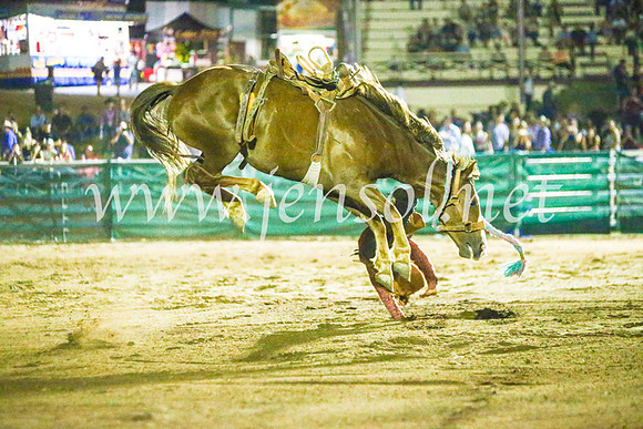 CoomaRodeo2017_4358