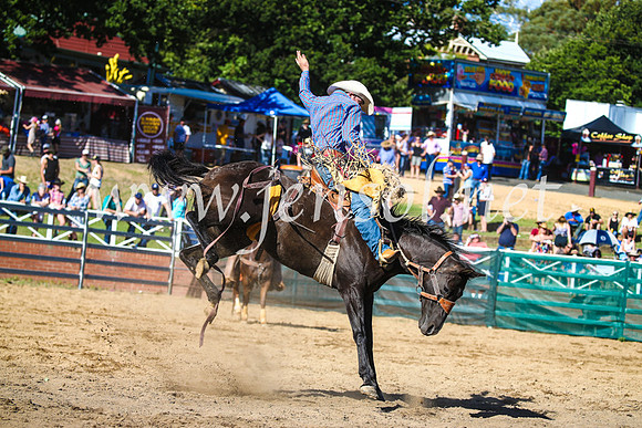 CoomaRodeo2017_2176