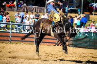 CoomaRodeo2017_2265