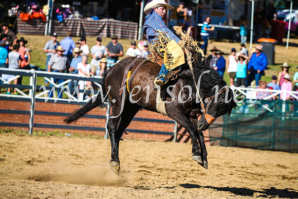 CoomaRodeo2017_2265
