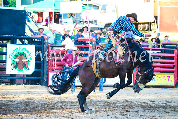 CoomaRodeo2017_3396
