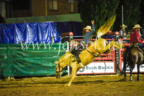 CoomaRodeo2017_4267