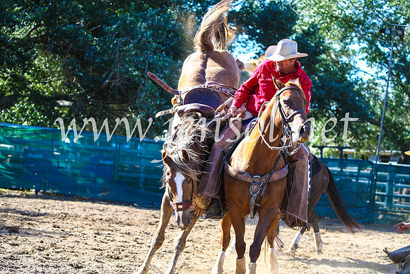 CoomaRodeo2017_2786