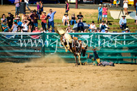 CoomaRodeo2017_2253