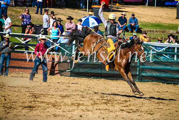 CoomaRodeo2017_2718
