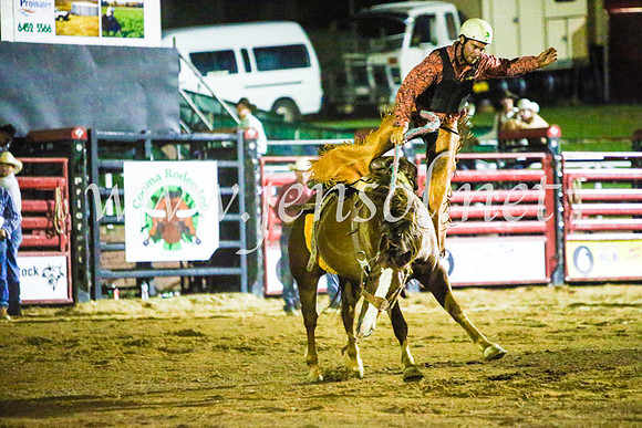 CoomaRodeo2017_4341