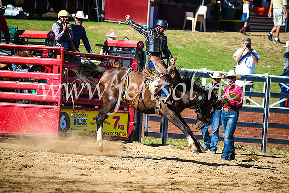 CoomaRodeo2017_2618