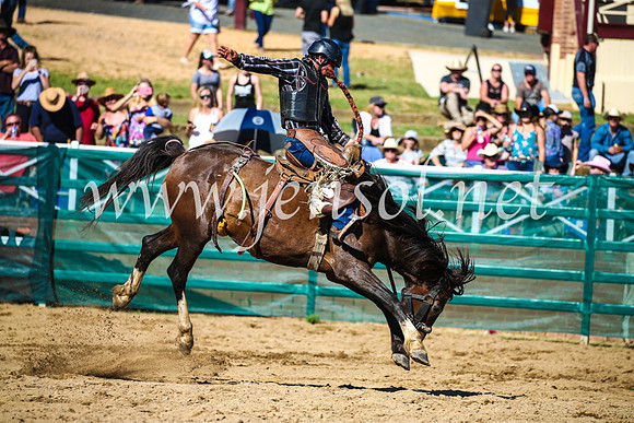 CoomaRodeo2017_2636