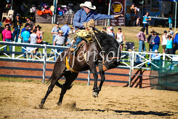 CoomaRodeo2017_2271