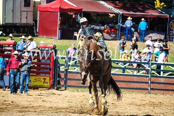 CoomaRodeo2017_2766