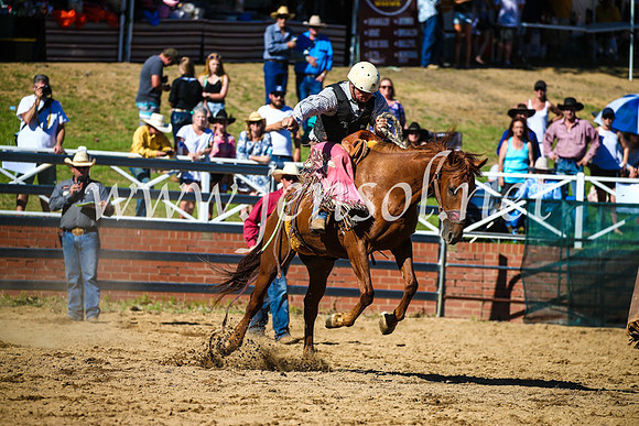 CoomaRodeo2017_2685