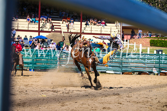CoomaRodeo2017_2721