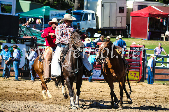 CoomaRodeo2017_2743