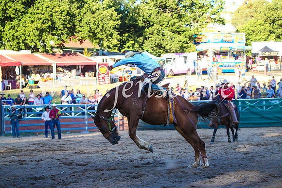 CoomaRodeo2017_3511