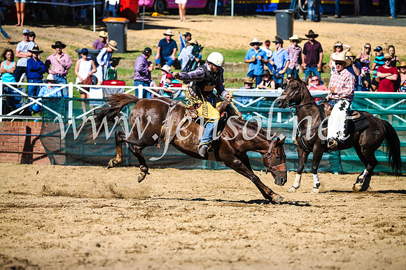 CoomaRodeo2017_2797