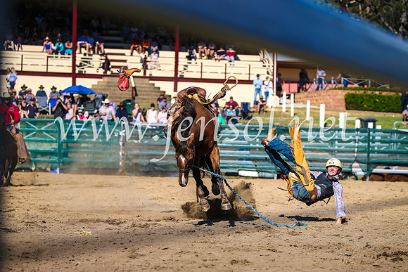 CoomaRodeo2017_2726
