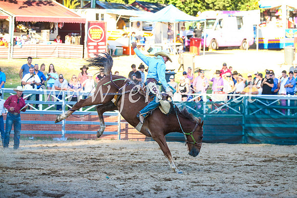 CoomaRodeo2017_3467