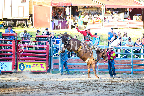 CoomaRodeo2017_3421
