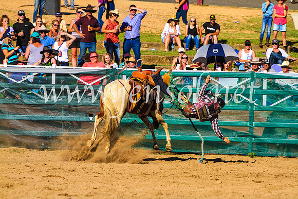 CoomaRodeo2017_9224
