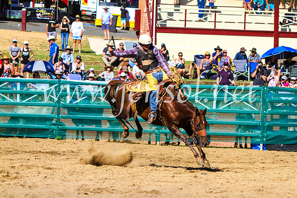 CoomaRodeo2017_9094