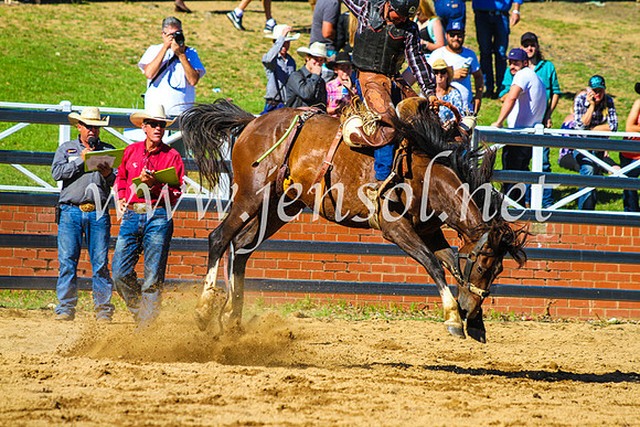 CoomaRodeo2017_9074