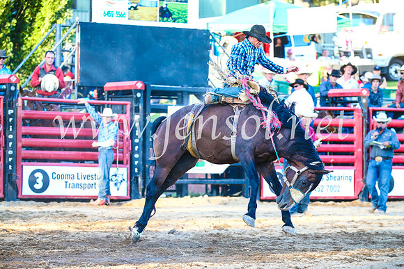 CoomaRodeo2017_3376