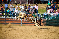 CoomaRodeo2017_2245