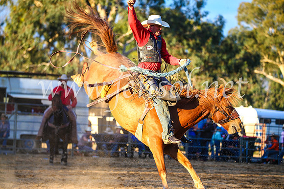 TumutRodeo2017_3192