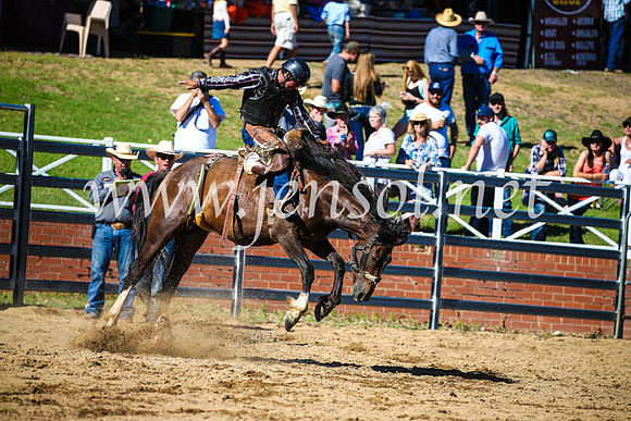 CoomaRodeo2017_2629